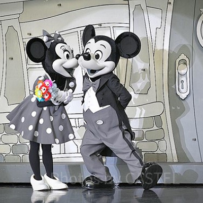 ディズニープラスの料金に関する注意点