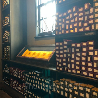 ハリーポッターコスプレの注意点