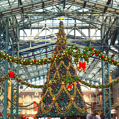 【2022年11月】ディズニーランドの混雑状況レポート！