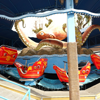  オクトパスパニック