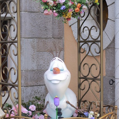 フローズンファンタジーの期間に飾られていたオラフのフォトロケーション。