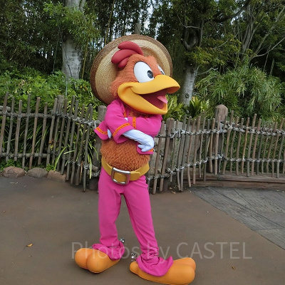 パンチートの全身ショット