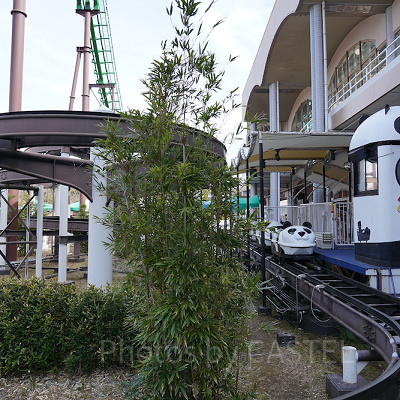 パンダ型コースター