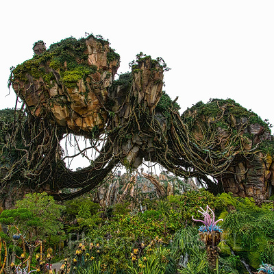 パンドラ：ザ・ワールド・オブ・アバター<br /> 設定：16㎜ SS1/50 F10 ISO100