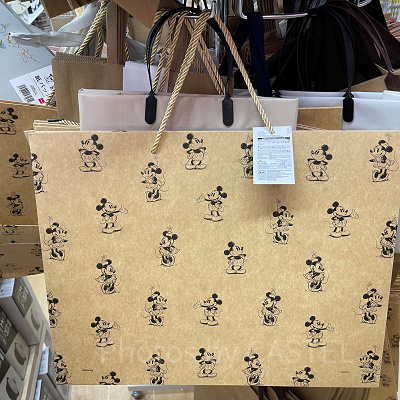 ペーパーバック：ミッキーマウス＆ミニーマウス