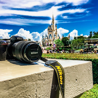 パーク＆Dストアのディズニーカメラグッズ