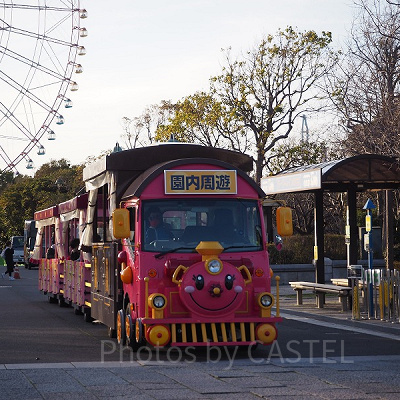 パークトレイン