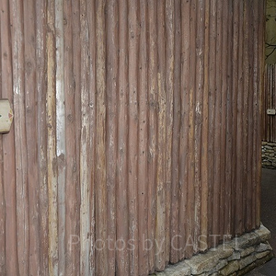 ジャングルクルーズ横の喫煙所までの通路（長め）