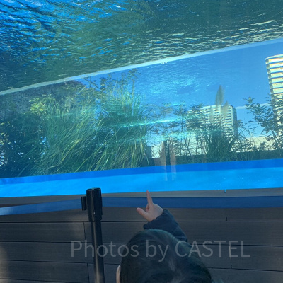 ペンギン・ダイビングタイム/ペンギン・ヒーリングタイム