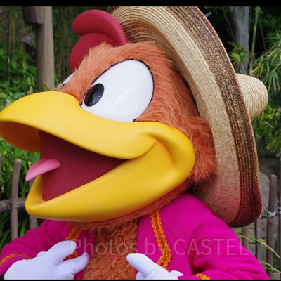 パンチートの性格