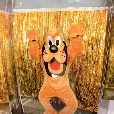 写真（プルート）