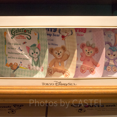 プレートセット