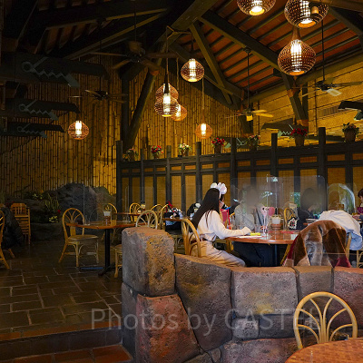 ポリネシアンテラス・レストラン：内装