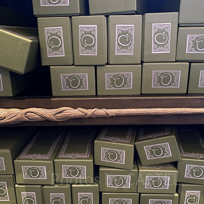 ポプラとドラゴンの心臓の琴線の杖