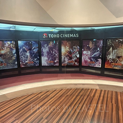 『隻眼の残像』のポスター