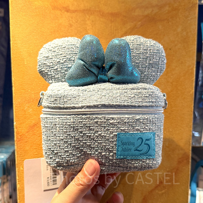 ポーチ(ディズニーシー25周年グッズ)