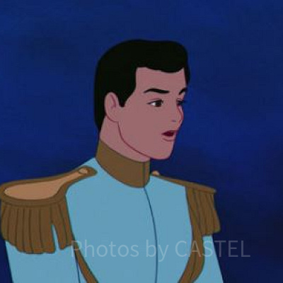 チャーミング王子