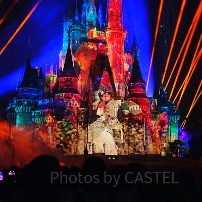 プリンセスと魔法のキス