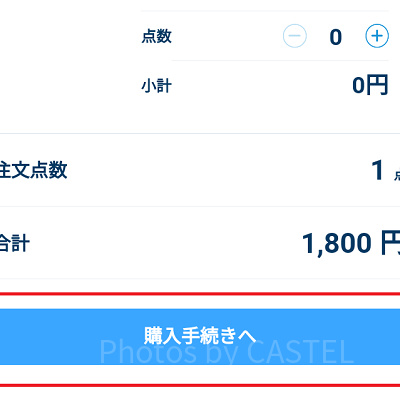 購入手続きへ進む