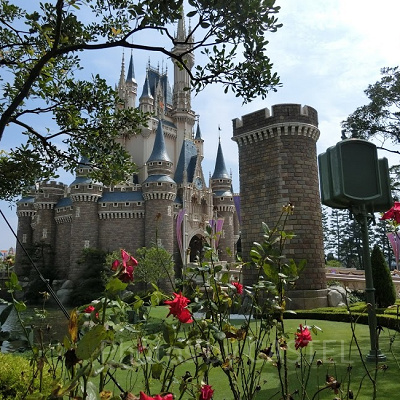 ディズニーでプロポーズ