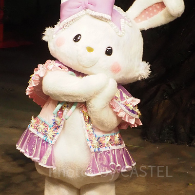 ピューロランドのウィッシュミーメル