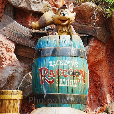 ラケッティのラクーンサルーン