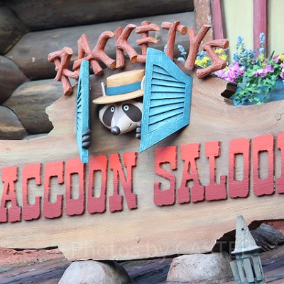 ラケッティのラクーンサルーン