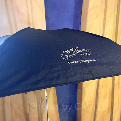 晴雨兼用傘（ビリーヴグッズ）