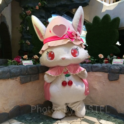 レインボーホール　ルビー（ジュエルペット）