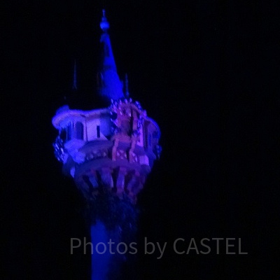 ラプンツェルの塔