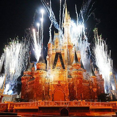 バケパ鑑賞エリアから見たReach for the Stars