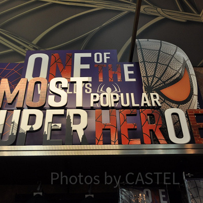 リアルグッズ（REAL GOODS)装飾／スパイダーマン