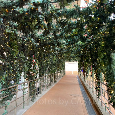 東京タワー外のリーフスロープ