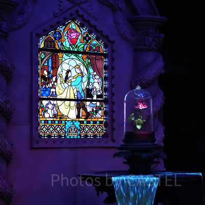 美女と野獣”魔法のものがたり”