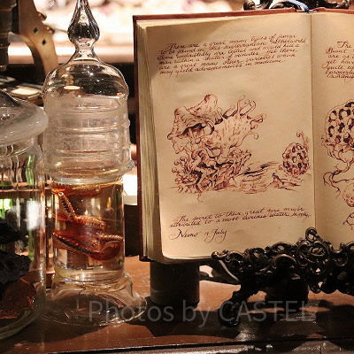 ネモ船長の研究資料