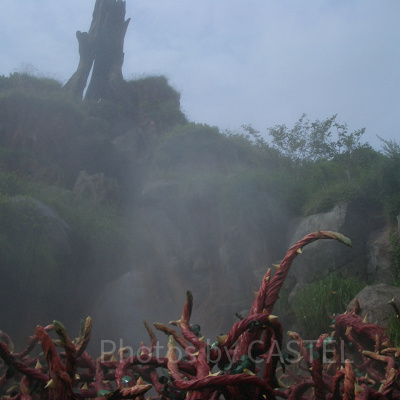 いばらの茂みに落ちているのではなく笑いの国へ帰っているところ