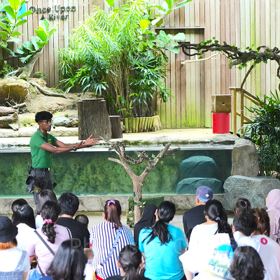 リバーワンダー：ワンス・アポン・ア・リバー（川の物語）