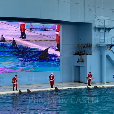 サンタコスチュームのトレーナー