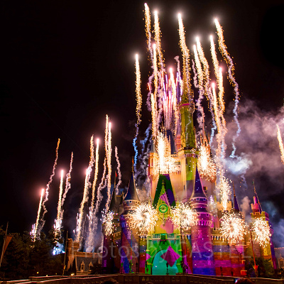 応募期間などのスケジュール