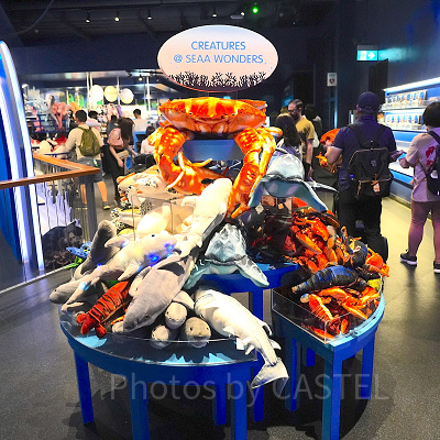 シーアクアリウム:ギフトショップ