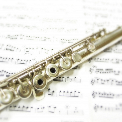 秘密のブルーノ：なぜ人気なの？