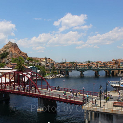 シニアパスポート