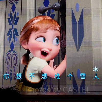 Disney - 上海ディズニー　2016　ブレスレット　アナ雪　新品未使用　限定 ディズニー・ショッピング公式 アナ雪特集ページ｜ディズニー公式