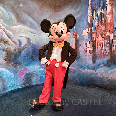 上海ディズニーカチューシャ：その他