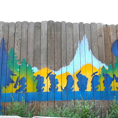 上海ディズニー:チケットの種類