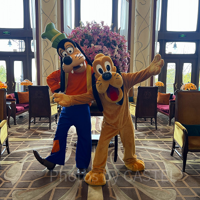上海ディズニーランドホテル：ロビーでグーフィーやプルートなどがグリーティングをしていることも