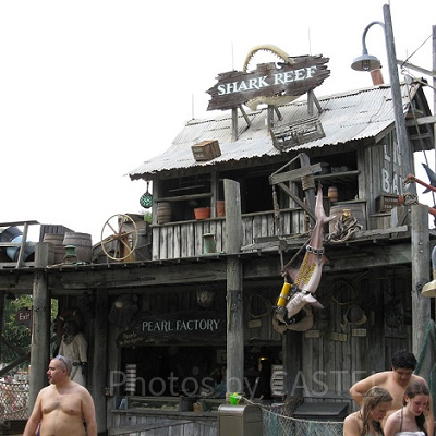 シャーク・リーフ