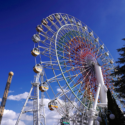シャイニングフラワー