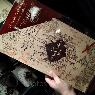 忍びの地図（電動）