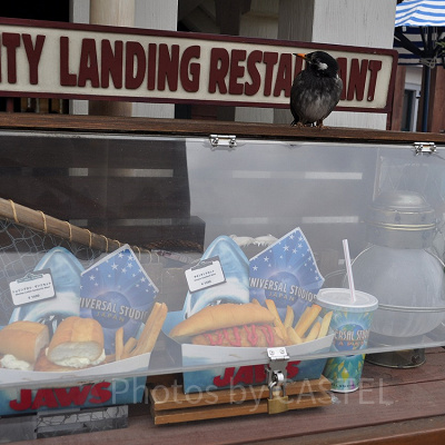 USJアミティエリアの「アミティランディングレストラン」のショーウインドー